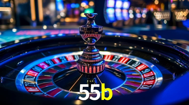 55b App Interface