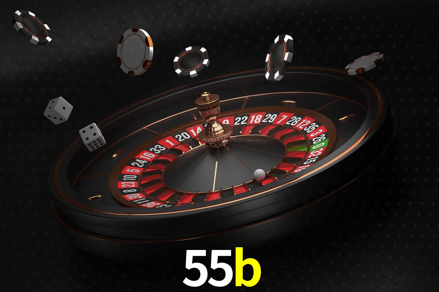 55b.com